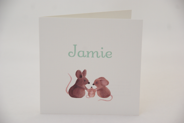 geboortekaartje jamie lichtgroen